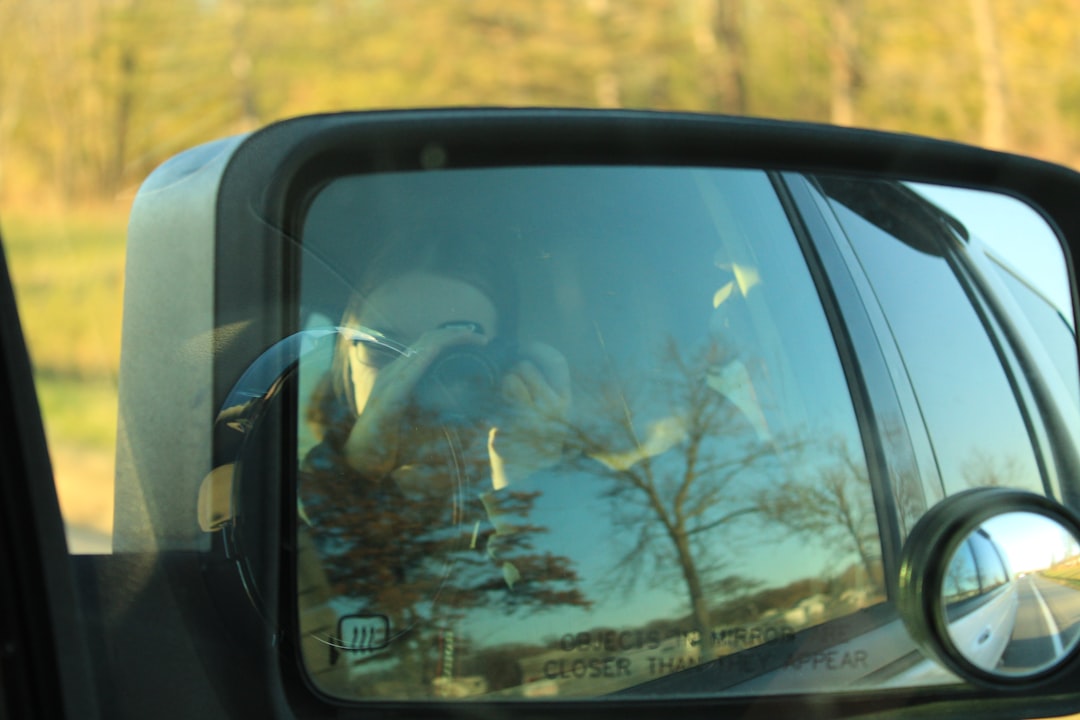 a car mirror showing a horse