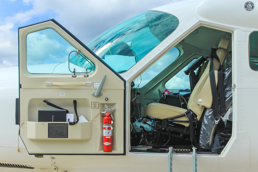 white and black car door