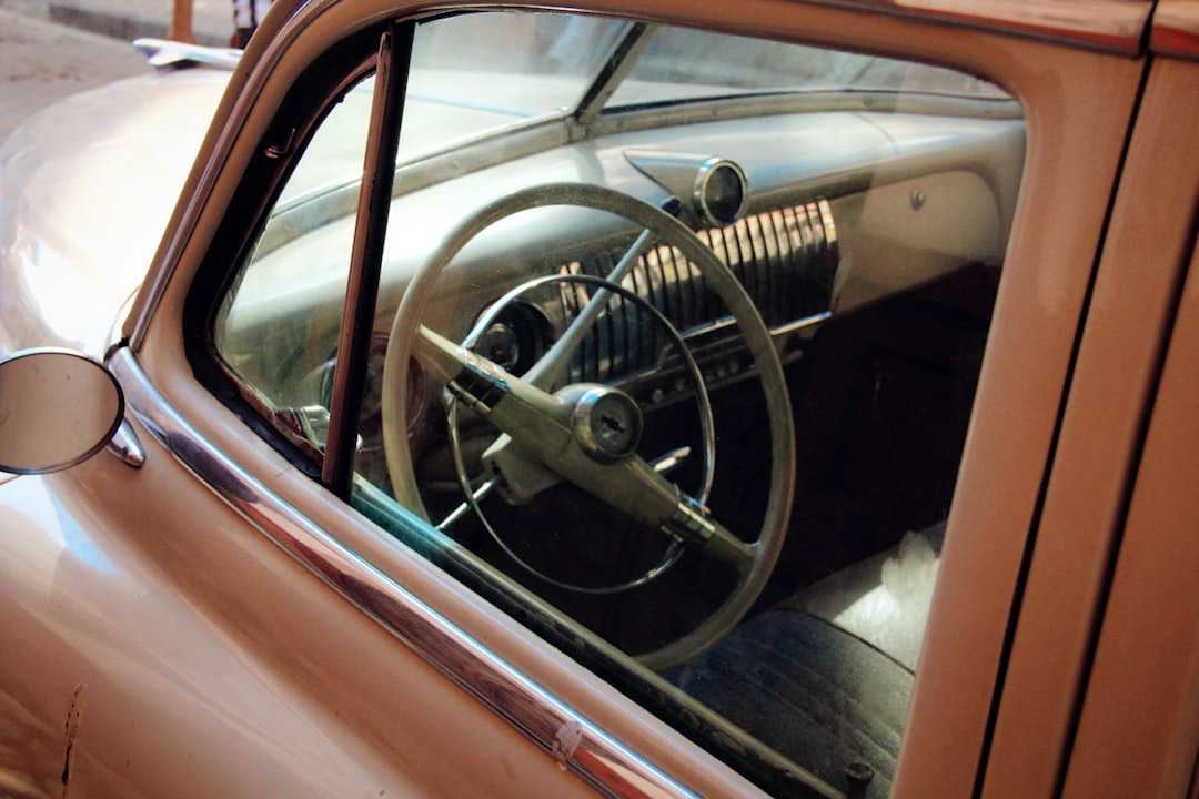 brown and black steering wheel